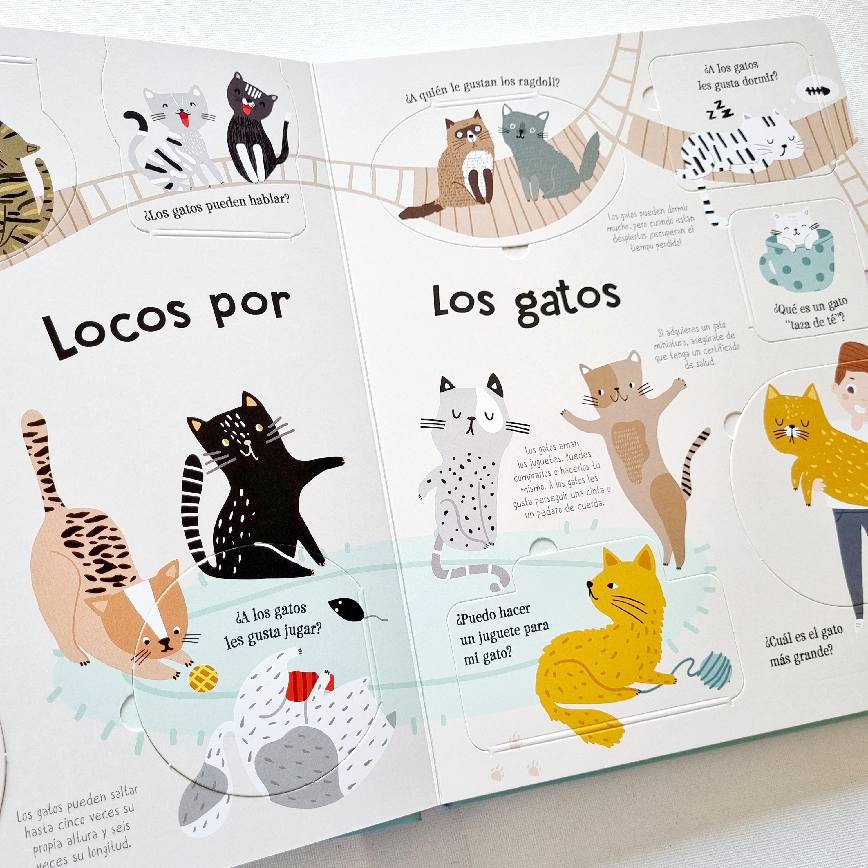 Locos por los gatos Locos por los gatos